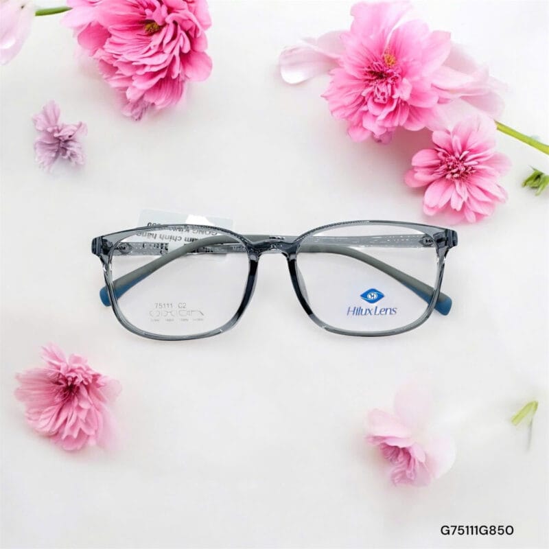 Gọng Kính Cận 850